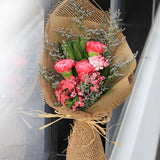 Carnation Beau (3 Stalk)