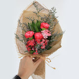 Carnation Beau (3 Stalk)