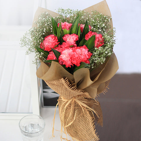 Carnation Beauty (5 Stalk)