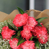Carnation Beauty (5 Stalk)