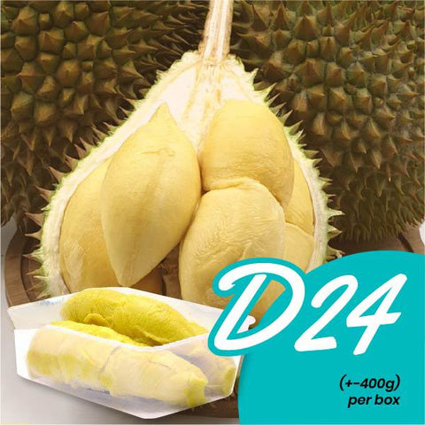 Fresh D24 Durian (+- 400g / box)