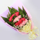 Demetrius Carnations