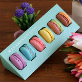 Premium Macaron (6pcs)