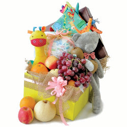 Baby Cloth PlayBook - Baby Early Learning Cloth Book, Rattle, Plushie, Newborn Diaper & Fruits Gift