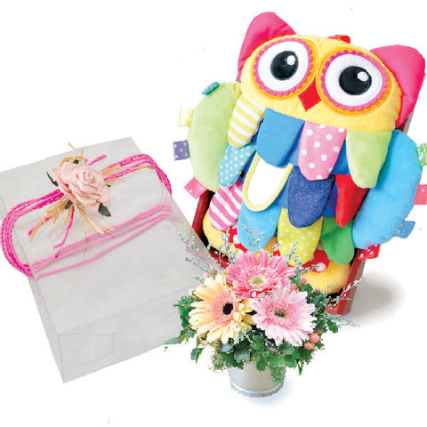 Baby Woodsy Owl - Soft Baby Developmental Owl Plushies with Gerberas Baby Shower Gift