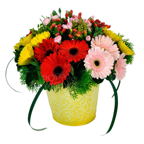Colorful Fanfare