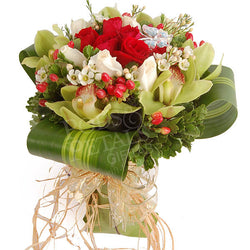 Cymbidium Love
