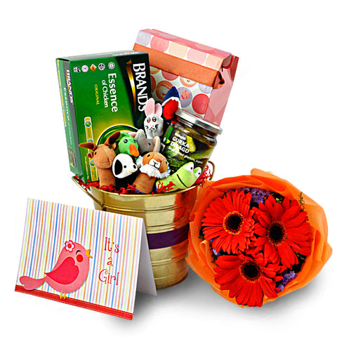 [1 Day Pre-Order] Learning Baby Brady - Baby Gift Congrats Hamper