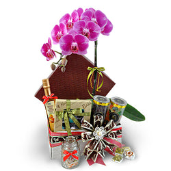 Magnolia Orchid - Halal Hamper Gift with Phalaenopsis Orchid