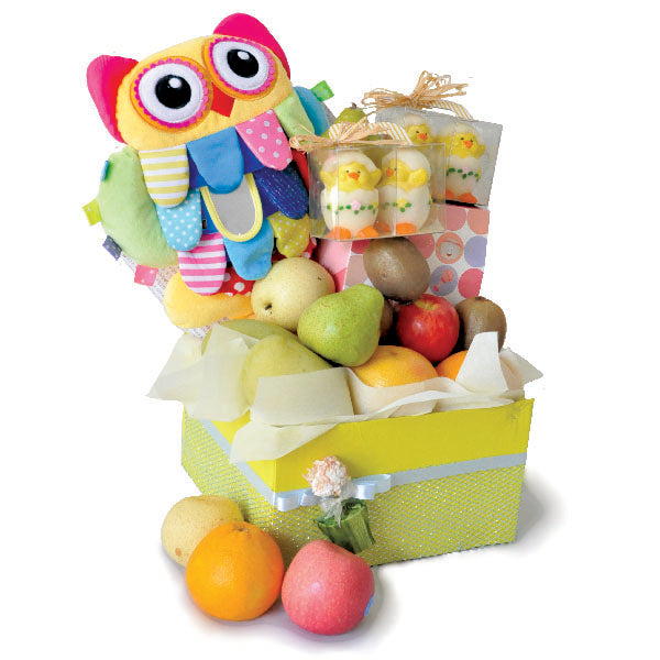 Owlicious Bebe - Newborn Baby Shower Gift with Fruits, Baby Owl Plushie Developmental Toy