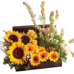 Sunny Beyla - Sunflowers, Gerberas & Tuberoses