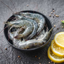 Live Tiger Prawn 2KG (1 Week Pre-Order)